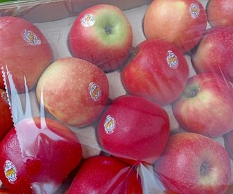 side image for Manzana De1 Story  - 1