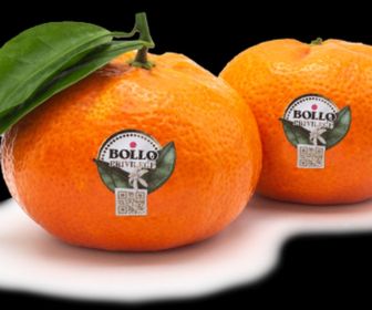 side image for Mandarina Bollo de Primera - 1
