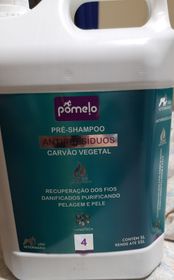 Pré shampoo 1/10