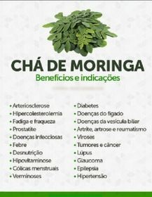 side image for Chá moringa  - 1