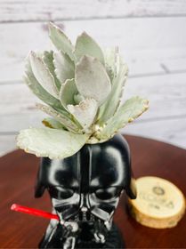 side image for Darth Vader mini  - 1