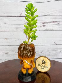 side image for Chewie mini - 1