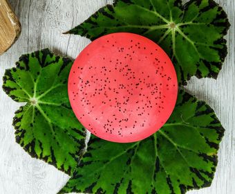 side image for Jabón Sandia - 100gr - 1