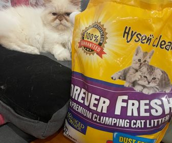 side image for Forever Fresh Cat Litter 4kg - 2