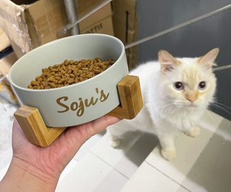 side image for Personalized ceramic food bowl - 1