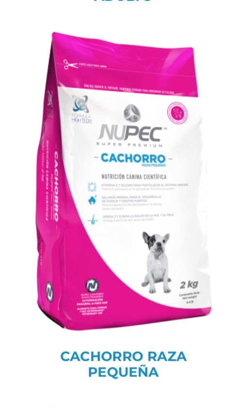 Cachorro Raza pequeña 8 kg 