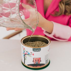 side image for Plante sua Chupeta - 6 latas - 4