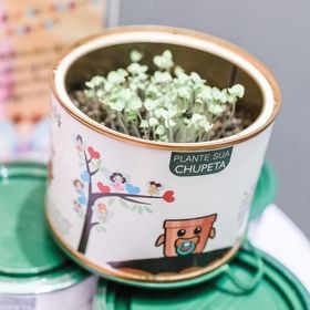 side image for Plante sua Chupeta - 12 latas - 6