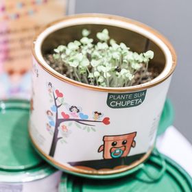 side image for Plante sua Chupeta - 6 latas - 6