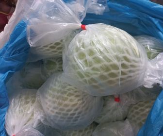 side image for JAMBU LOHAN 1KG - 1
