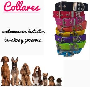 side image for Collares Nylon - 1