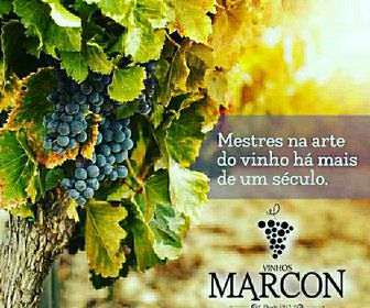 side image for KIT 06 Vinhos Bordô Seco Tradicional Marcon 750Ml. - 2