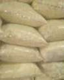 side image for Noodles for Dogs  - 2