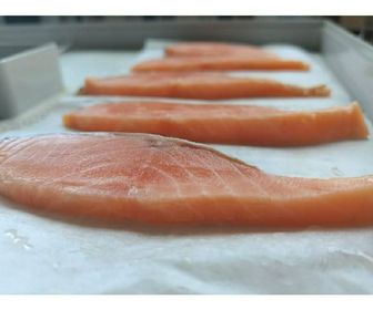side image for Dehydrated Salmon 三文鱼干 Makanan Ringan Haiwan 保留原有鱼油 宠物零食 PET SNACKS 美毛 增肥 MAKANAN KUCING 60g - 2