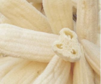 side image for Loofah cuerpo - 3