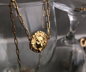 side image for Lion - 1
