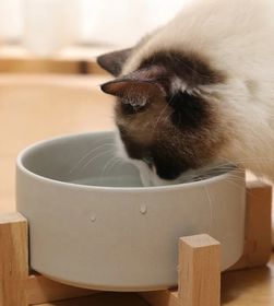 side image for Ceramic Food Bowl - 1