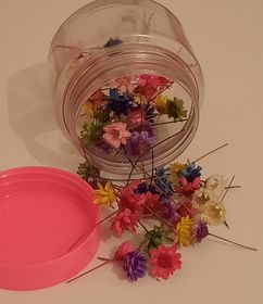 side image for Florzinha sempre viva - 1