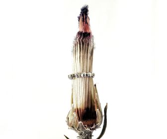 side image for Infinity Ring  - 3
