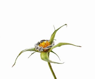 side image for In-knots Ring  - 3