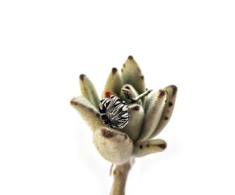side image for Protea Pendant  - 3