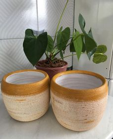 side image for Vaso para planta. - 1