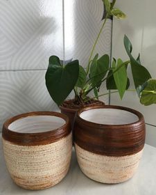 side image for Vaso para planta. - 2