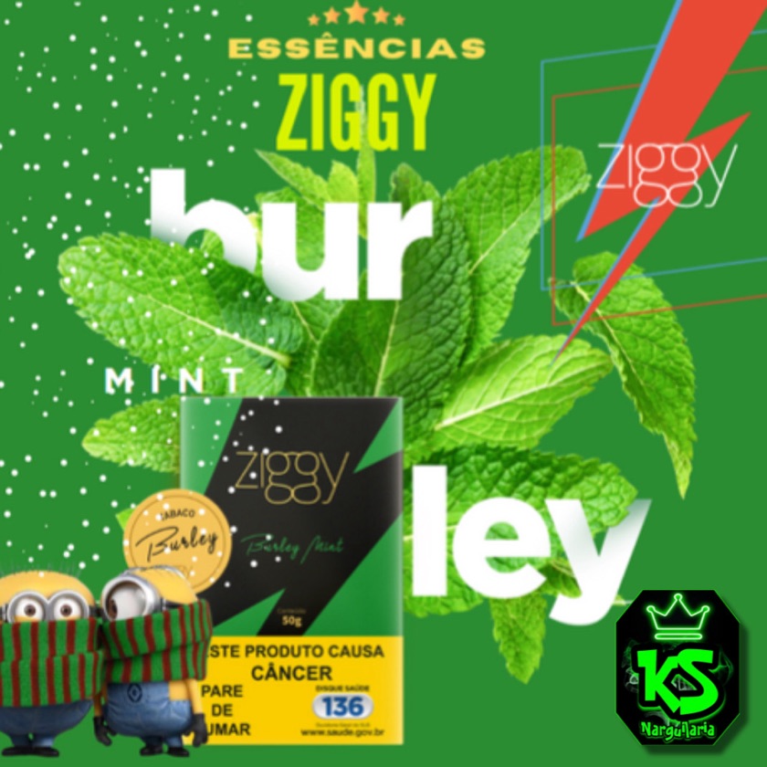 Essência Ziggy burley mint 