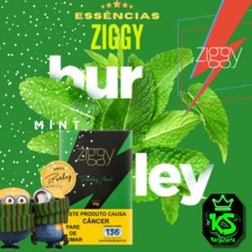 Essência Ziggy burley mint 