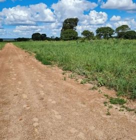 side image for Fazenda em Minas Gerais - 1
