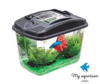 side image for MiniAcuario - Betta Kit - 1