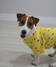 side image for T-shirt pet Dots - 2