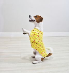 side image for T-shirt pet Dots - 1