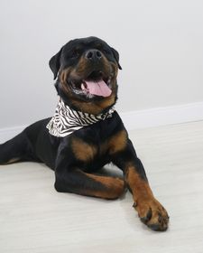 side image for Bandana Marty - 1