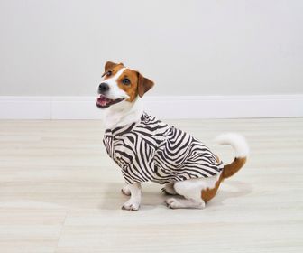 side image for T-shirt pet Marty - 1