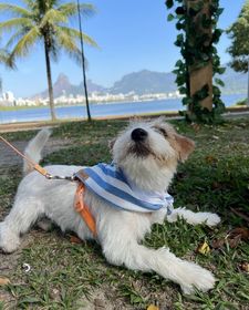 side image for Bandana Urca - 6