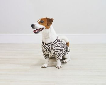 side image for T-shirt pet Marty - 2