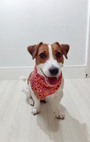 side image for Bandana Pink - 1