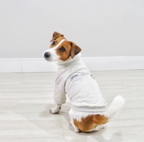 side image for Moletom pet Paw - 1