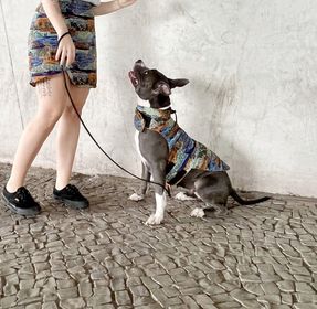 side image for Colete Pet Art (4-8) - 2