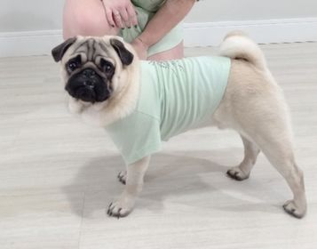 side image for Muscle Tee Menta - 5