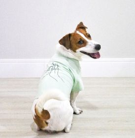 side image for T-shirt dress Menta - 5