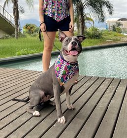 side image for Bandana Jardim Botânico  - 1