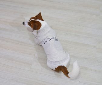 side image for Moletom pet Paw - 3