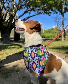 side image for Bandana Jardim Botânico  - 2