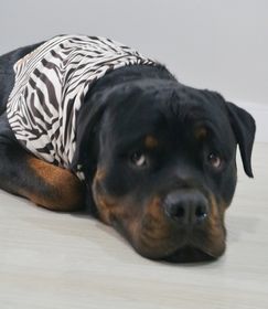 side image for Bandana Marty - 2