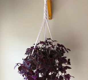 side image for Plant Hangers - 1