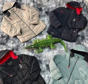 side image for BOBOJACO LACOSTE 2022 FORRADA  - 5