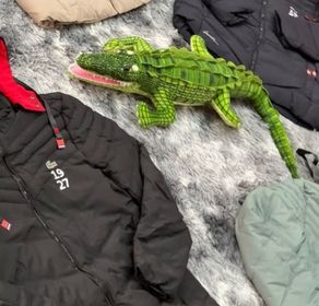 side image for BOBOJACO LACOSTE 2022 FORRADA  - 6