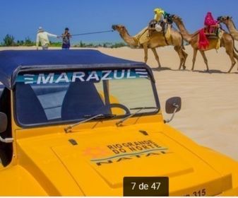 side image for Buggy Litoral Norte - 4